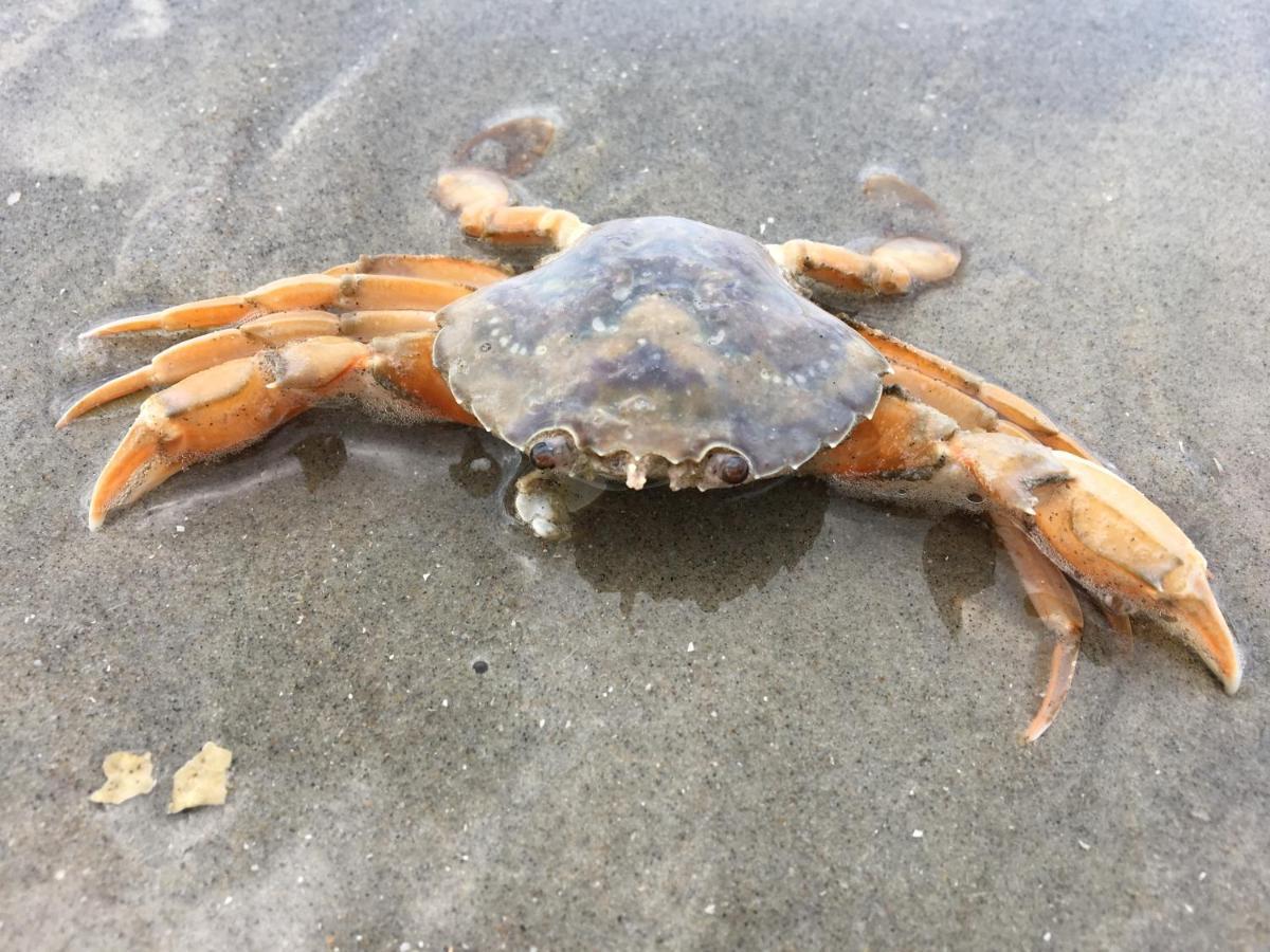 Chalet Oester 167 巴勒姆 外观 照片